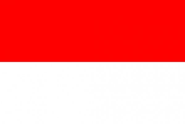 Endonezya Haritas